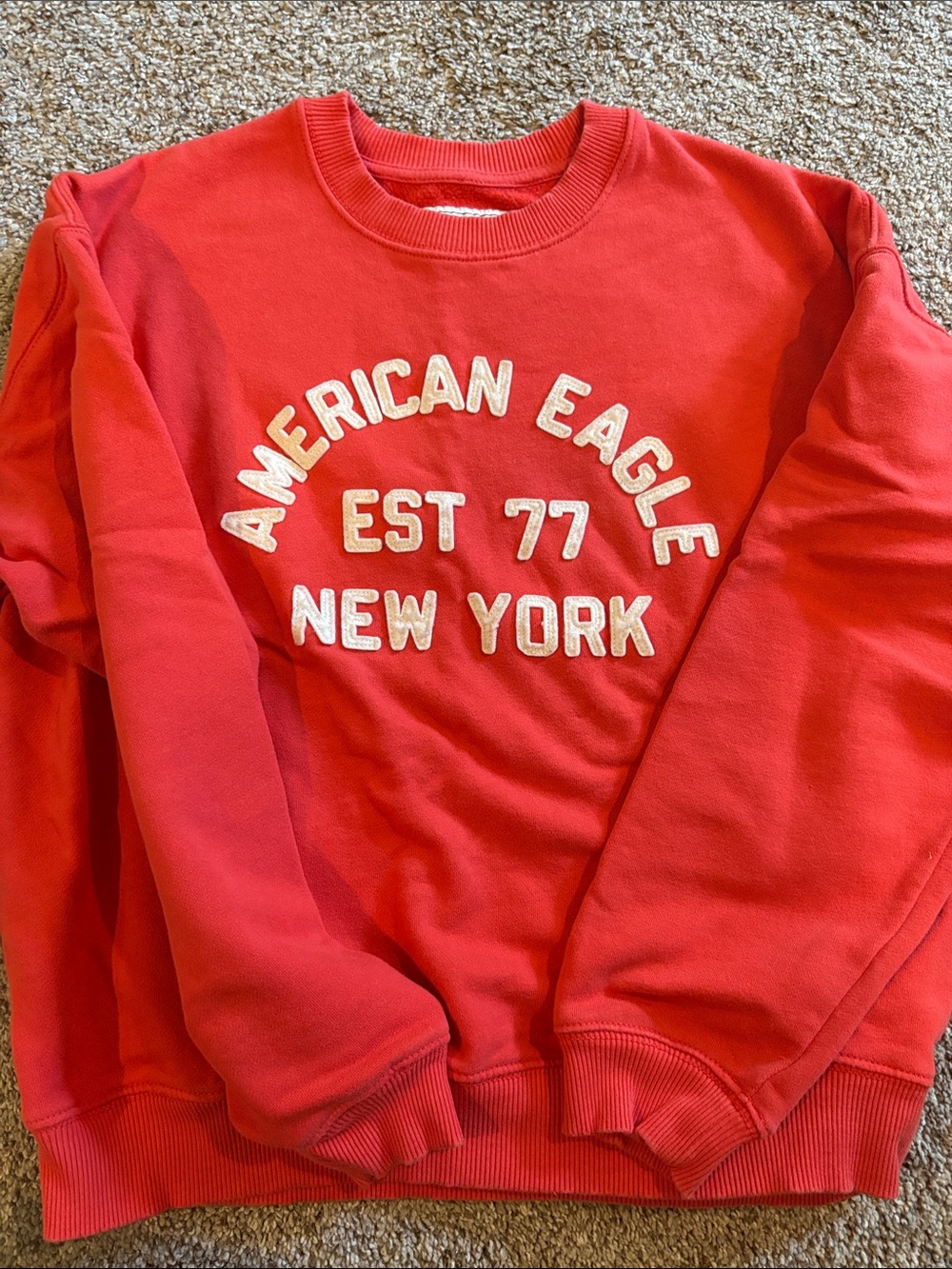 American Eagle Outfitters Red Crewneck